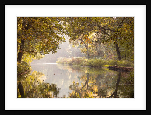 Basingstoke canal by Assaf Frank